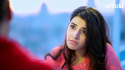 Mere Humdum Mere Dost Episode 16 Urdu1