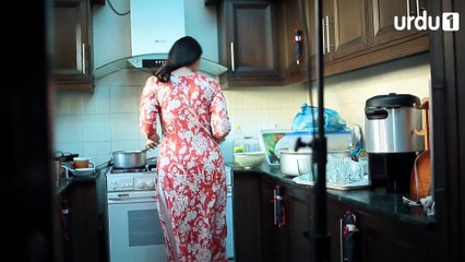 Mere Humdum Mere Dost Episode 20 Urdu1
