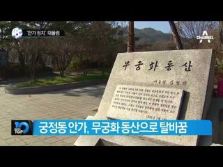 변호인 “차은택, 비서실장 공관서 김기춘 만나”_채널A_뉴스TOP10