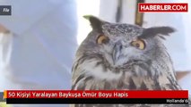 50 Kişiyi Yaralayan Baykuşa Ömür Boyu Hapis