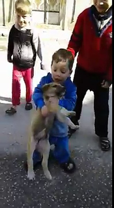 Best funny video