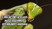 5 Relações Sexuais mais bizarras do Mundo Animal