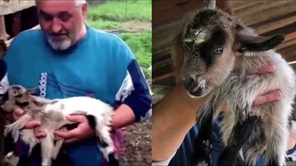 10-Most-Shocking-Animal-Mutations