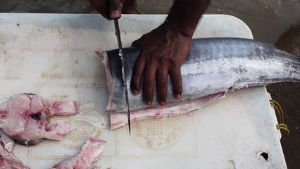 How to Cooking Big Fish - Kona Fish - 8 kg Fish Cutting
