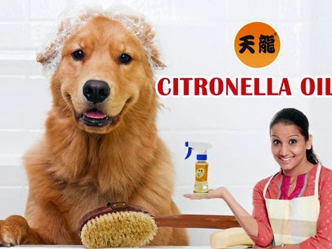 Singapore Insect Repellent | Deet Free Mosquito Repellent