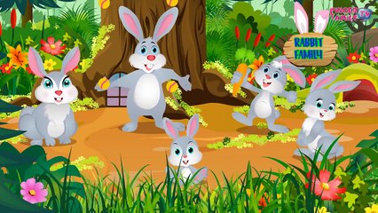 Dog Finger Family | Finger Family Dog Family Compilation | Nursery Rhymes for Kids