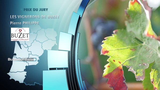 Les Aquitains de l'année 2016 : Vignerons de Buzet