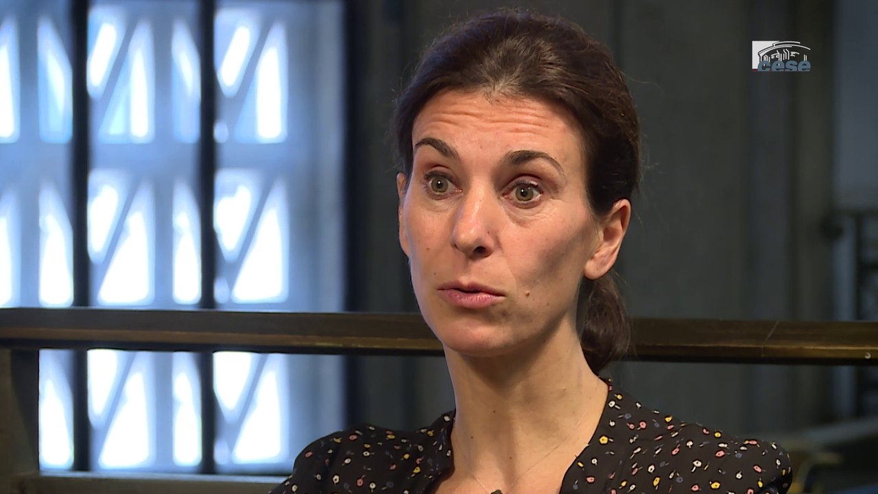 Questions à Sophie ROBIN-OLIVIER (prof de droit) - Europe dotée d’un socle des droits sociaux - cese