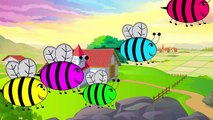 Honey Bee Finger Family Finger Family Cartoon Animation Nursery Rhymes For Children