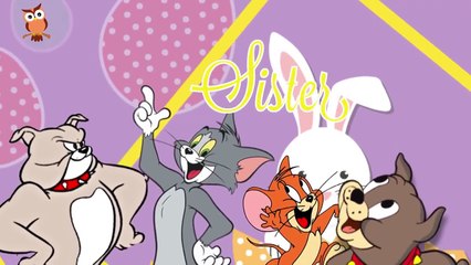 [Korea] Tom and Jerry Daddy Finger Family - Finger Family - Fun Finger Family Collection