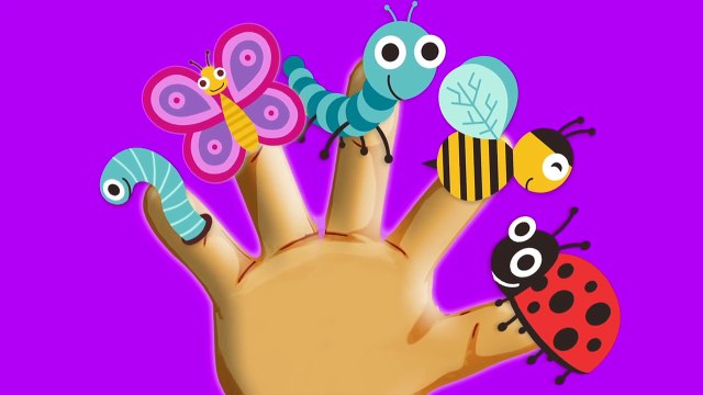 Finger Family Insects DADDY FINGER Song Insects Song Nursery Rhymes & Kids Songs Cookie Tv Video