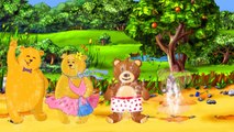 Ozu Animal Finger Family Rhymes || Teddy Bears Finger Family || Finger Family Rhymes