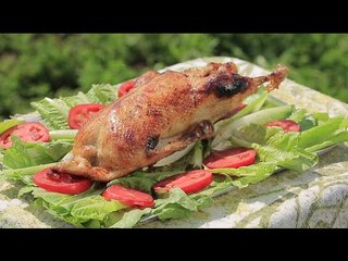 بطة بلدي | نجلاء الشرشابي