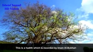 Music in Islam ┇ Very Important! ┇ Dr. Bilal Philips