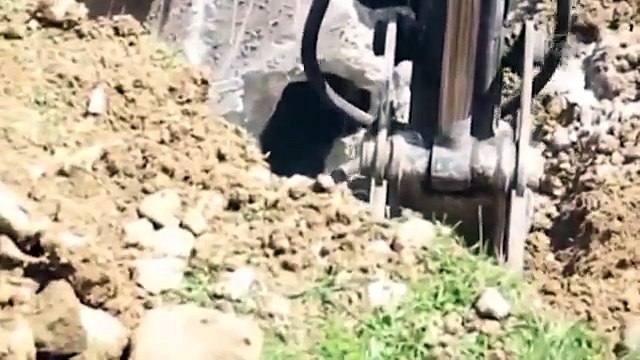 смотреть онлайн видео ТУРЕЦКИЕ СТРОИТЕЛИ НАПУГАЛИ МЕДВЕДЯ