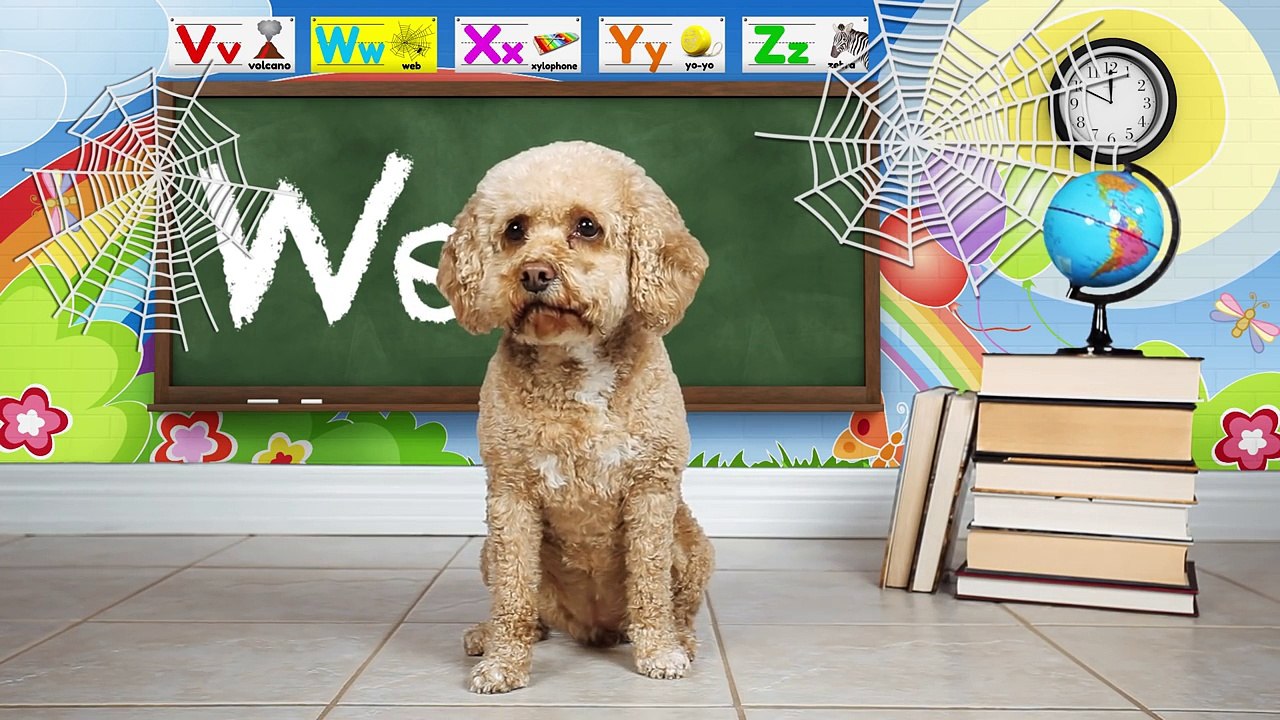 Learn the Alphabet with Lizzy the Dog | ABC Video for Kids Part 6