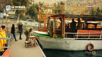 Црната Роза 238