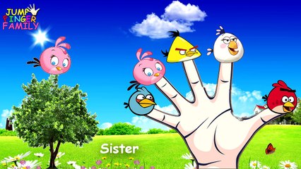 Скачать видео: Angry Birds Finger Family Song | Daddy Finger Daddy Finger | Cartoon Nursery Rhymes