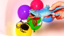 5 Mega Insects Balloon - Learn Color Wet Balloons - Learn Colours Balloon Finger Nursery Songs