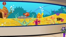 Finger Family 3D Animated Fish Rhyme || Nursery Rhymes For Kids