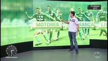 Torcedores do Palmeiras comemoram conquista do 9º título brasileiro