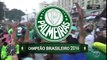 Torcedores do Palmeiras comemoram conquista do 9º título brasileiro - Parte 2
