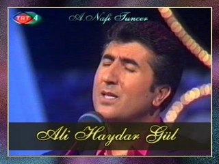 Ali Haydar GÜL - Altun Hızmav Mülâyim