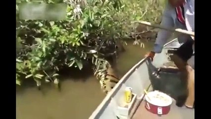 Il trouve un énorme anaconda dans une rivière