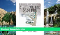 Online Budget Law School For The Bar Study For The Baby Bar: Contracts Torts Criminal law Outlines