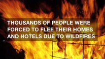 Tennessee wildfires threaten resort town, thousands flee