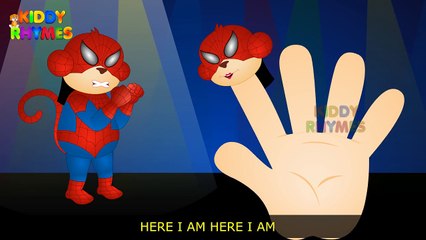 Spiderman Finger Family (Spiderman Monkey vs Rat )Finger Family (Monkey)Rhyme