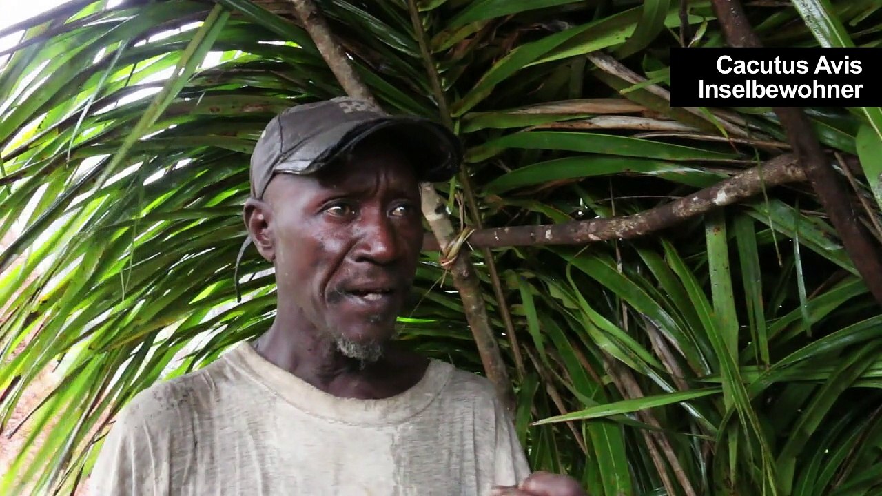Schlangenbisse: Guinea-Bissau gehen Gegengifte aus