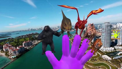 Wild Animals Finger Family Rhymes Compilation For Children | Animals Cartoon For Children