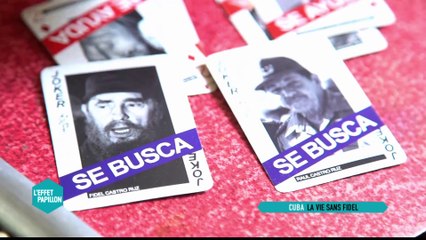 Deuil et dissidence - L'Effet Papillon du 29/11 - CANAL+