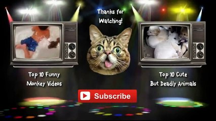 Funny baby videos 2016 Babies laughing Funny Kids Videos Funny Baby Videos