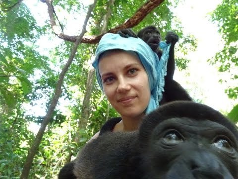 Baby Howler Monkeys Are Very Interested in Cameras