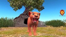 Lion King Finger Family Nursery Rhymes| Lion Cartoon Children Rhymes