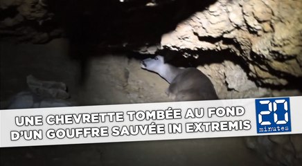 Une chevrette tombée au fond d’un gouffre sauvée in extremis