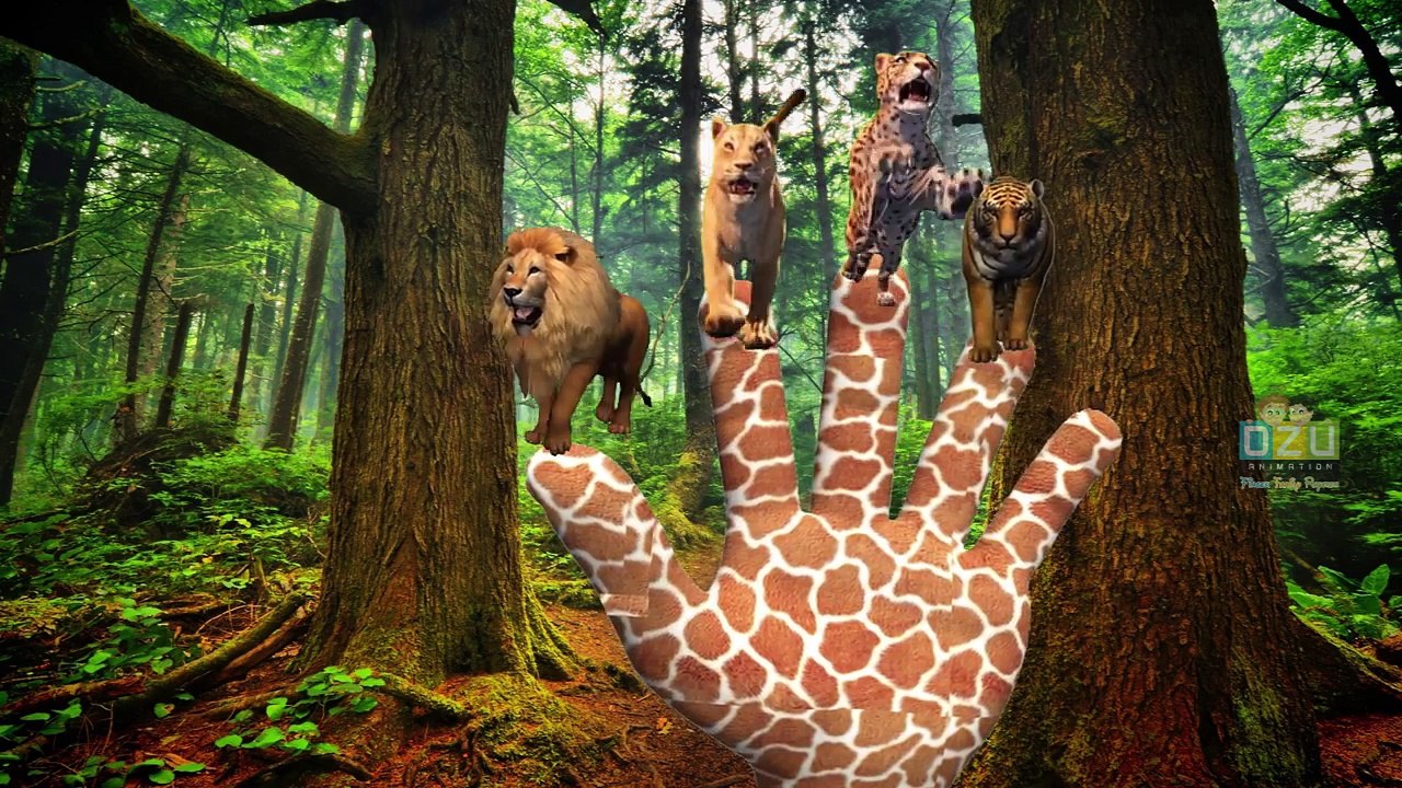 Finger Family Children Nursery Rhymes | Finger Family Rhymes Lion King Cartoons for Children |