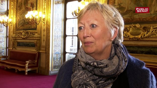 Catherine Morin-Desailly