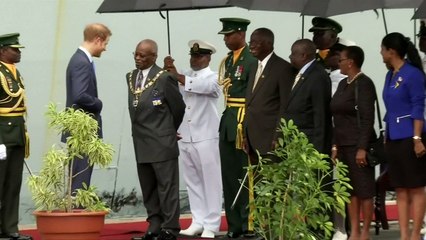 Prince Harry is welcomed to Barbados