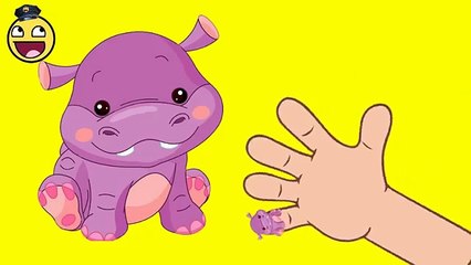 Kids Song | Hippo Finger Family Songs | Nursery Rhymes Songs for Babies