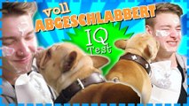 Von Hunde abgeschleckt - BESTRAFUNG | Mindfuck-Challenge | IQ-TEST