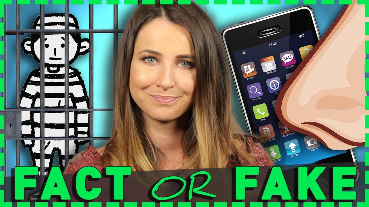 Welche STORY ist FACT & welche FAKE? | Pimp my mind