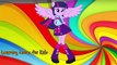 Coloring book-My Little Pony collection Transforms Princess and Rainbow | Lean colors