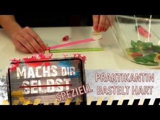 Praktikantin bastelt hart (Tischkatapult) - Mach's dir SPEZIELL