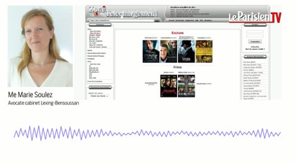 Zone téléchargement : que risquent les éditeurs et les usagers du site ?
