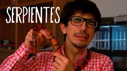 Serpientes. Dani Santos