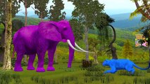 Colors Dinosaurs Finger Family Collection | Lion Finger Family Rhymes | Wild Animals Nursery Rhymes