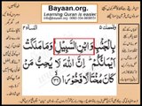 Quran in urdu Surah AL Nissa 004 Ayat 036B Learn Quran translation in Urdu Easy Quran Learning